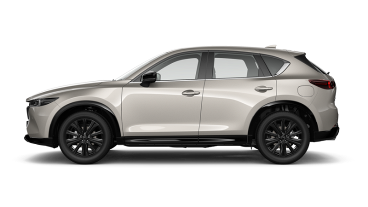 Platinum Quartz Metallic (KURO)