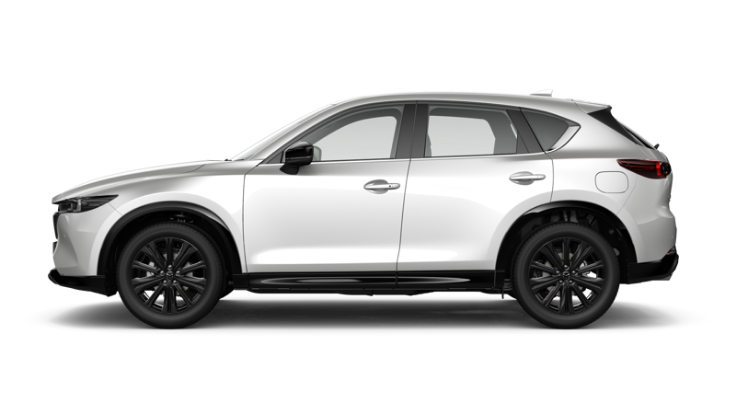 Rhodium White Metallic (KURO)