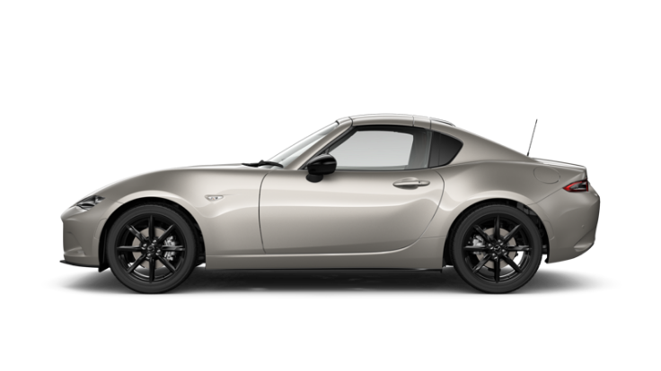 Platinum Quartz Metallic (AT)