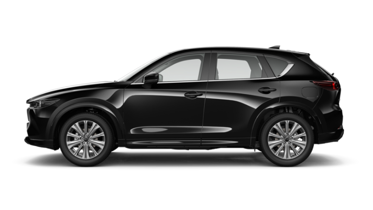 Jet Black Mica (ELITE)